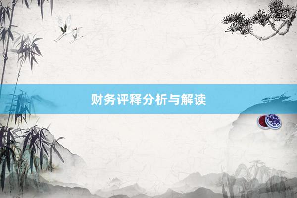 财务评释分析与解读